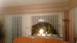 Referenzen für Gardinen von Wohnromantik Schindler - Gardinen, Maßschneiderei und Kostümverleih vom Meisterbetrieb Petra Schindler in Oschatz und Dahlen